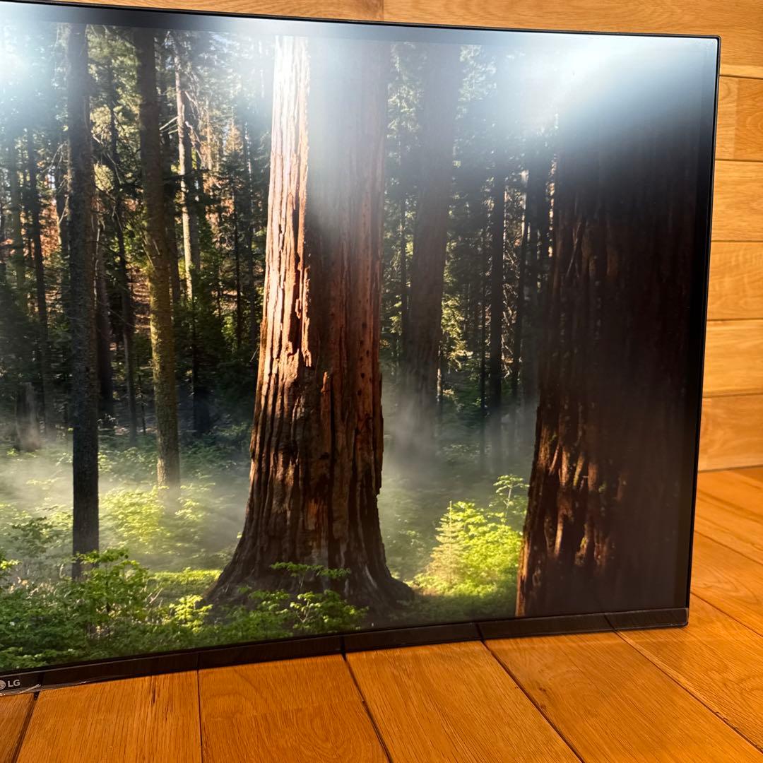 LG 40WP95C-W 5K2K ウルトラワイドモニター 保証27年1月まで