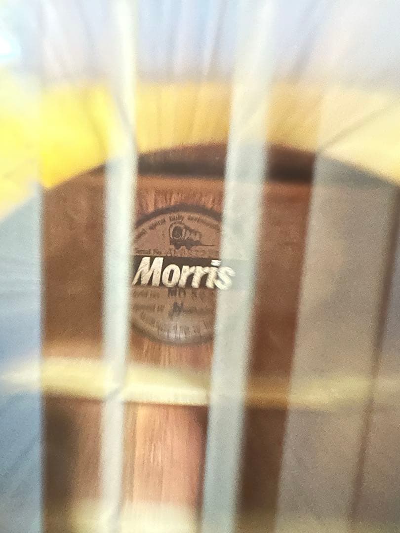Morris モーリス アコースティックギター