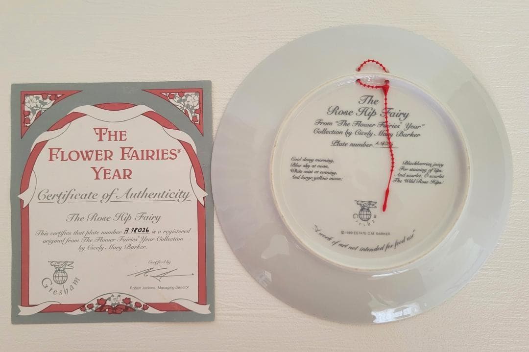 シシリー メアリー バーカー フラワーフェアリーズ 約20㎝絵皿 7枚