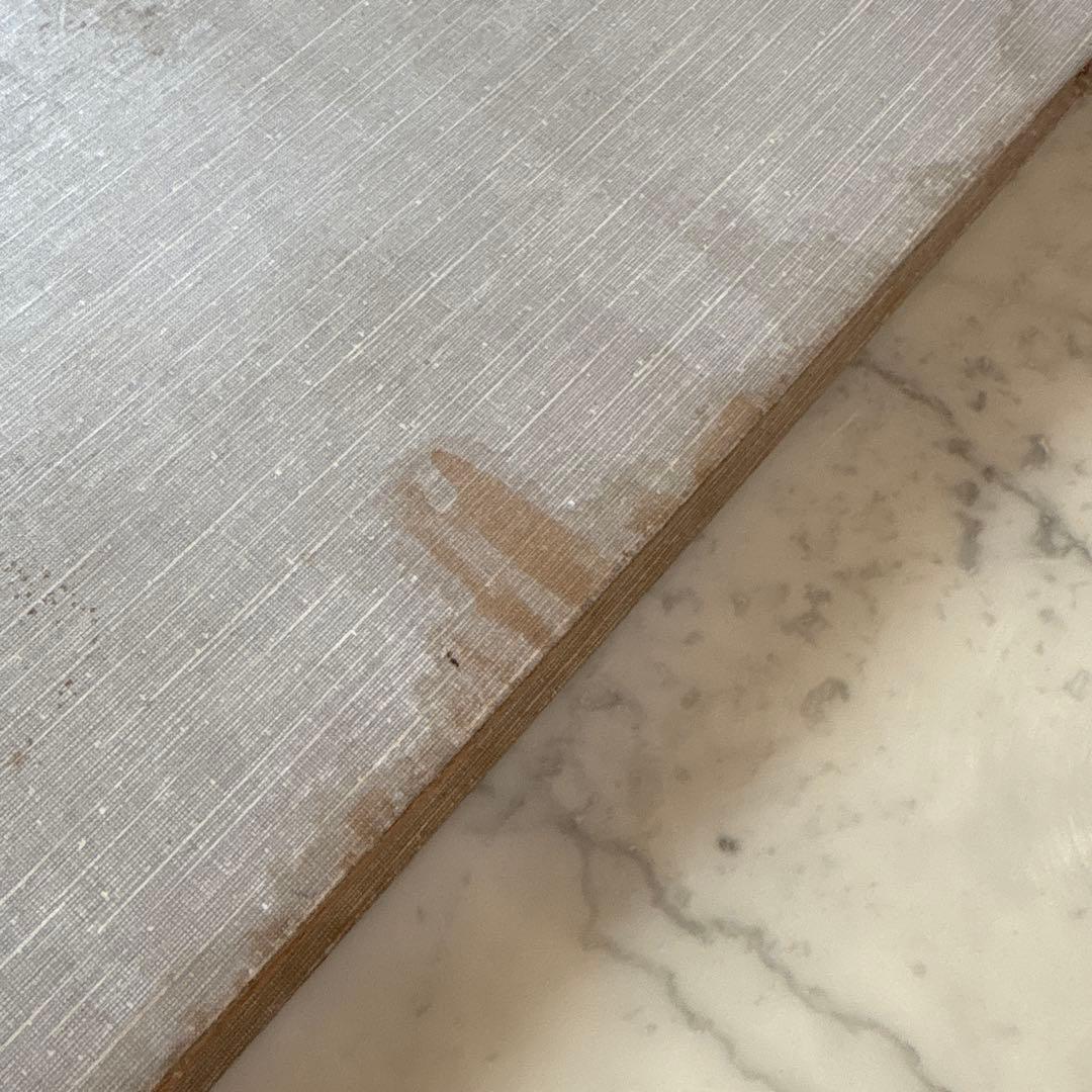 フランス　アンティーク　ポストカード　アルバム　CARTES POSTALES