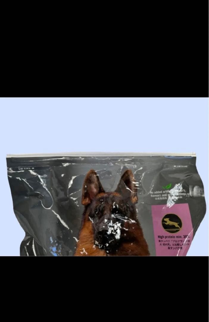 【訳あり】ピュリナ　プロプラン　全犬種　全年齢用パフォーマンスサポート★20kg