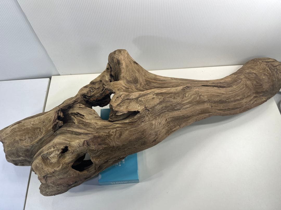 V45特大流木 アク抜き済み流木 爬虫類シェルター 登り木 インテリア 生け花