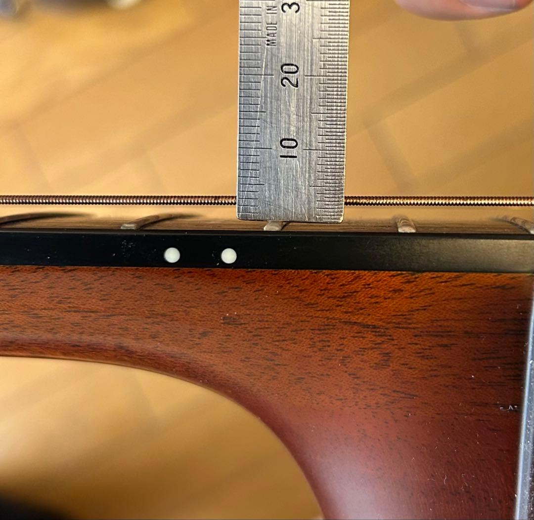 Morris モーリス W-185H アコースティックギター