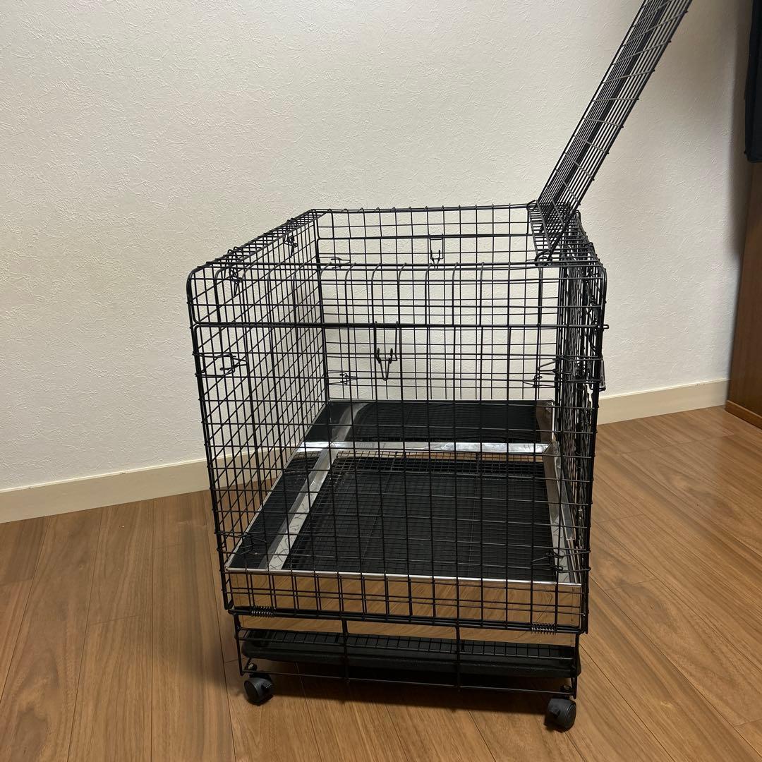 うさぎのしっぽ　プロケージ60 小動物