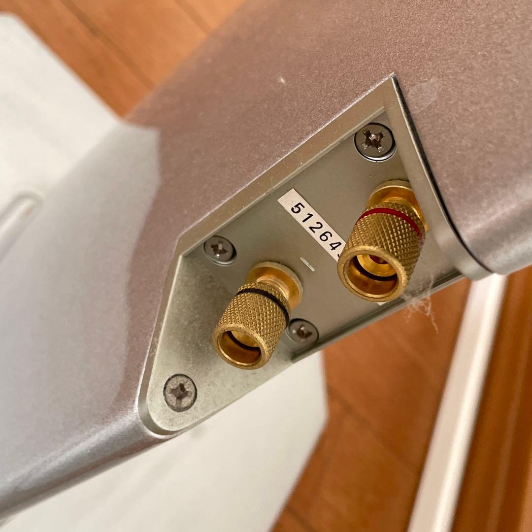 DENON スリムトールスピーカー　SC-T7L シルバー 2本