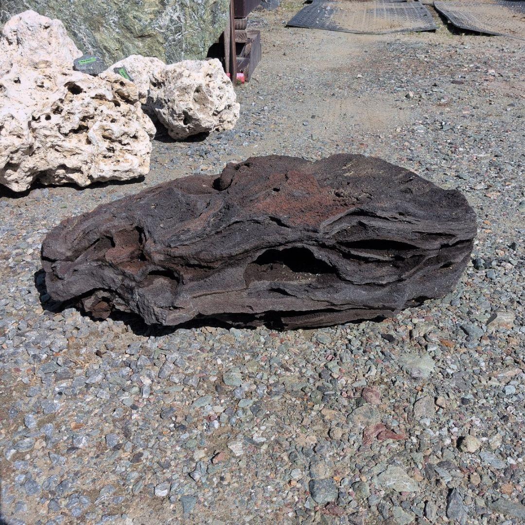 浅間溶岩石　56キロ　庭石　石　石材 庭　坪庭　ガーデニング　鑑賞石