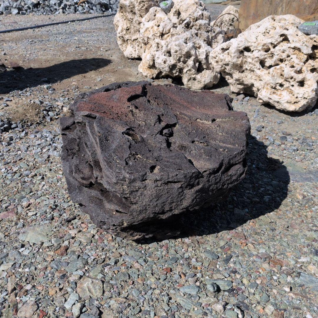 浅間溶岩石　56キロ　庭石　石　石材 庭　坪庭　ガーデニング　鑑賞石