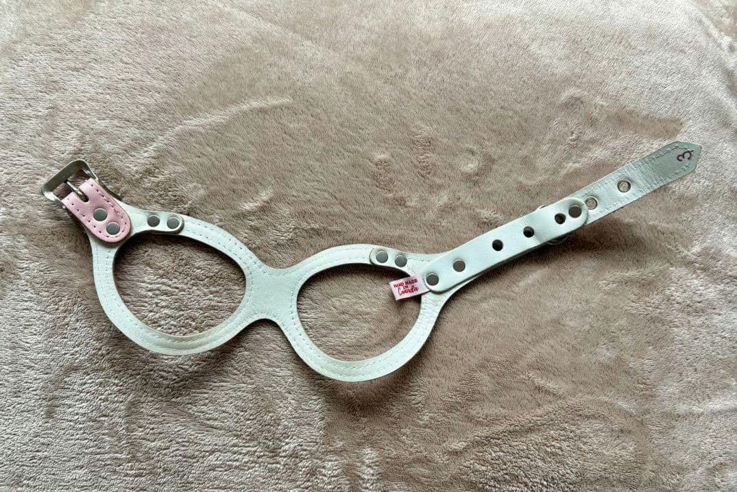 バディベルト Body Belts ピンクハーネス & リード セット　バディー