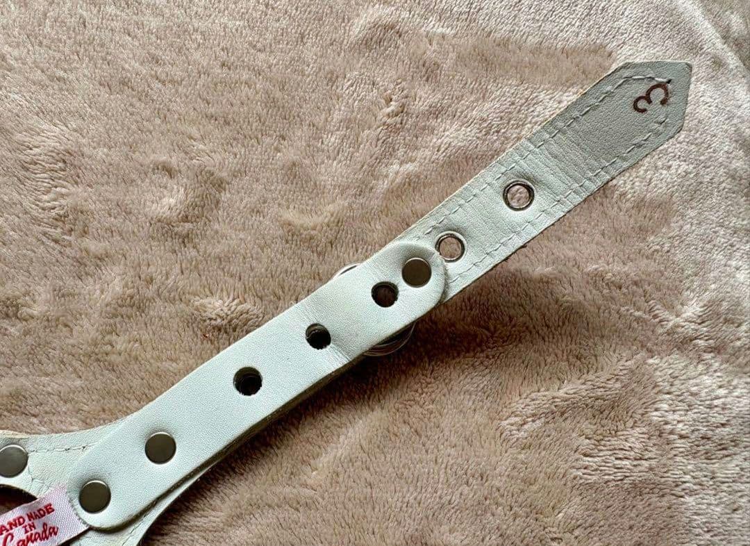 バディベルト Body Belts ピンクハーネス & リード セット　バディー