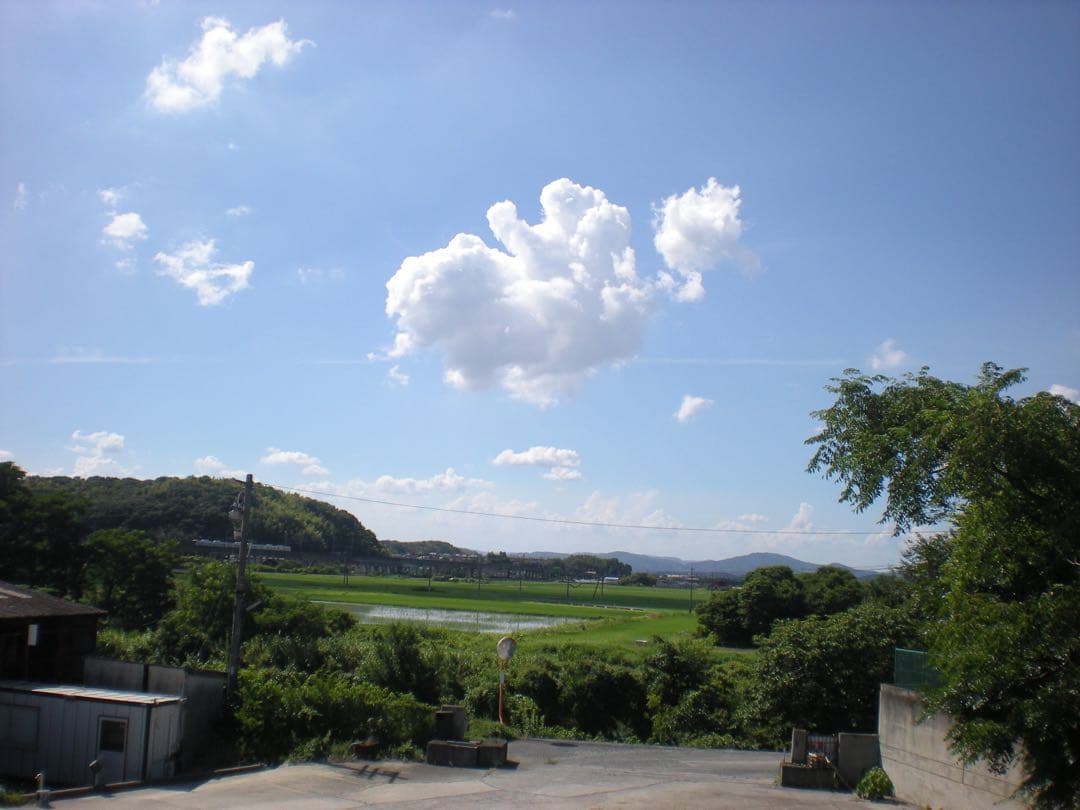 Nikon COOLPIX S210 デジタルカメラ