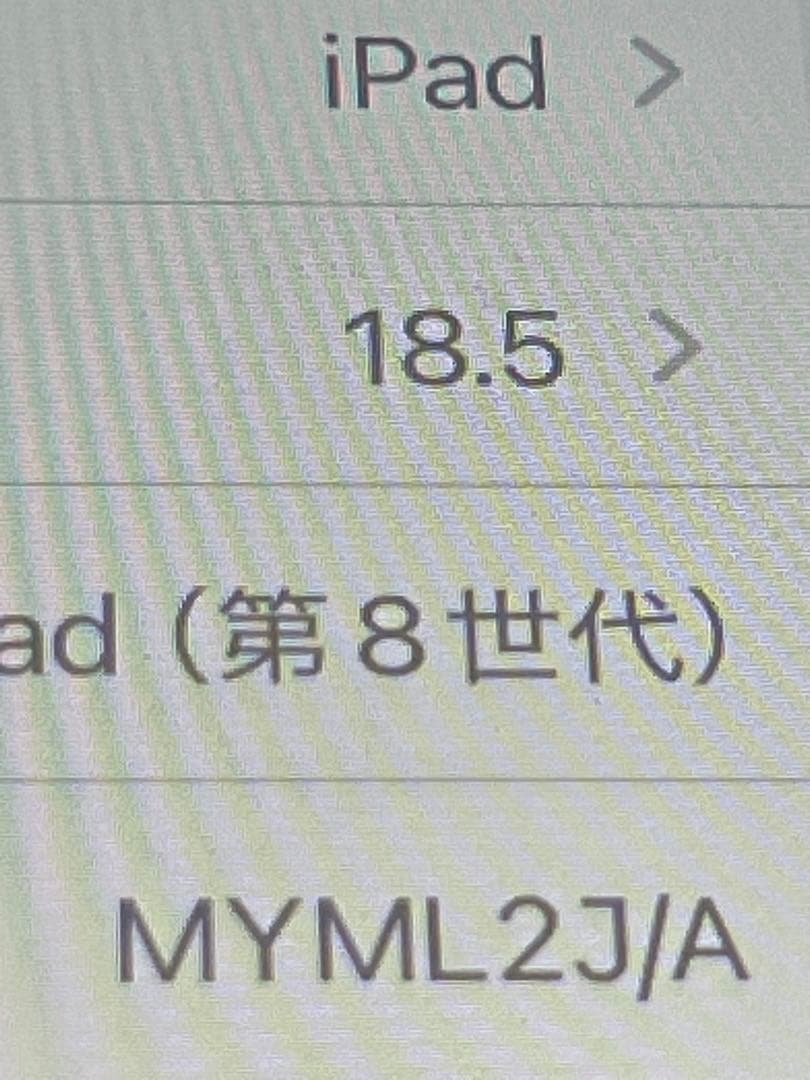 iPad 第8世代 128GB Wi-Fi+Cellularモデル ガラス割れ