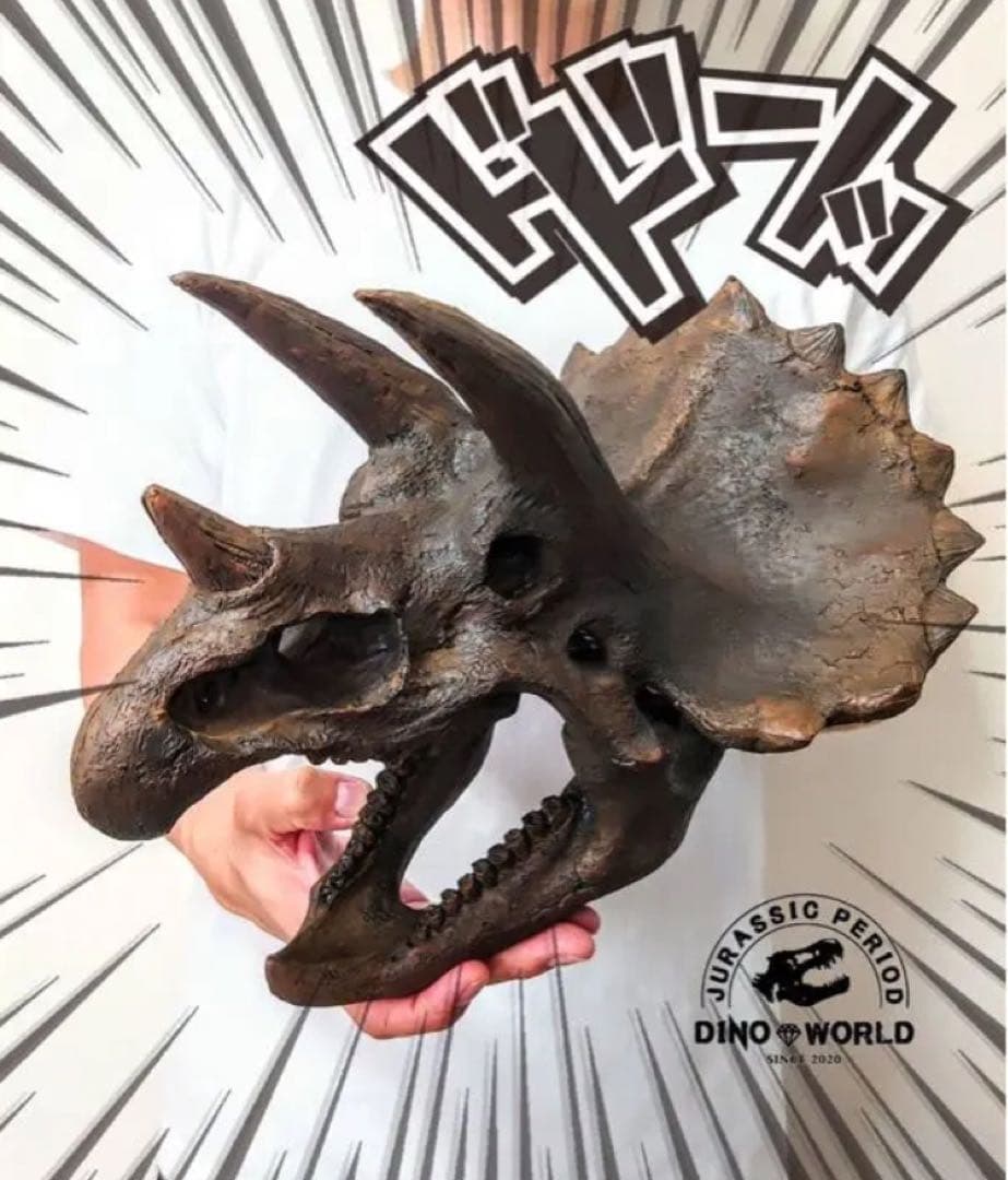 ✨お得なセット✨ ティラノサウルス トリケラトプス 化石 ジュラシックワールド