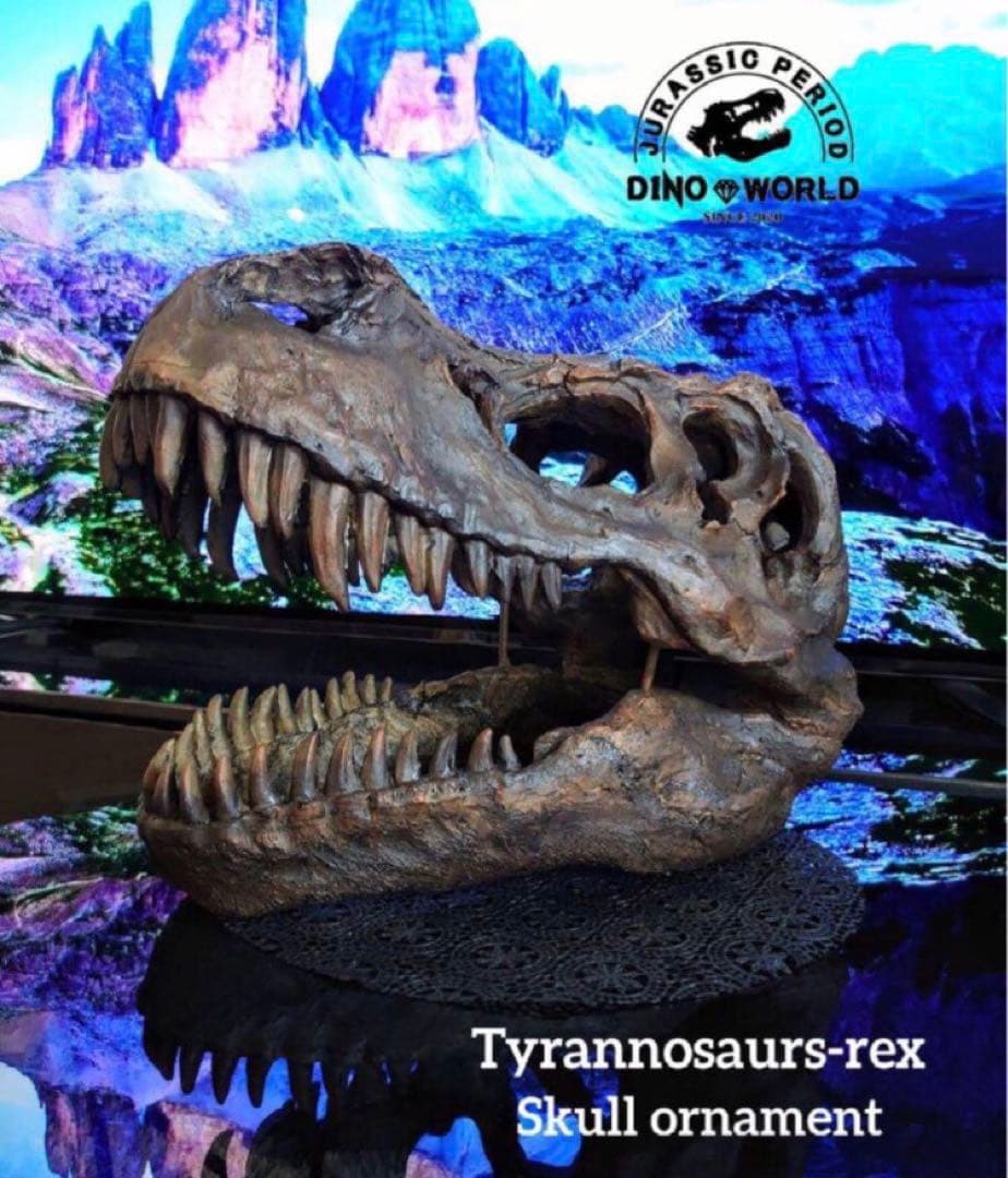 ✨お得なセット✨ ティラノサウルス トリケラトプス 化石 ジュラシックワールド