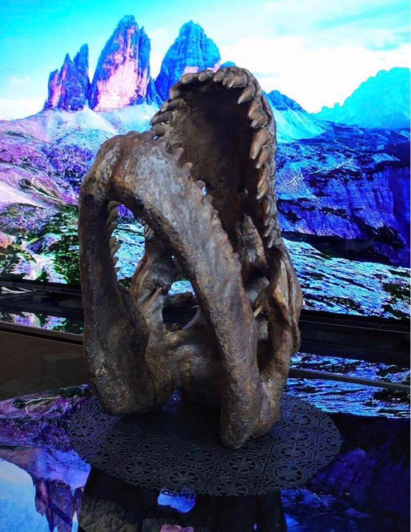 ✨お得なセット✨ ティラノサウルス トリケラトプス 化石 ジュラシックワールド