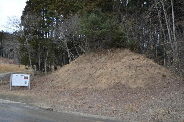 化石 モノチス モノティス 三畳紀 中生代 示準化石 志津川町 皿貝層群もの