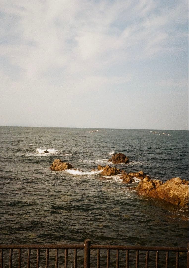 ✴️初心者向✴️グリーンレザー✴️実写・分解整備済✴️オリンパスPEN EE-3 完動品