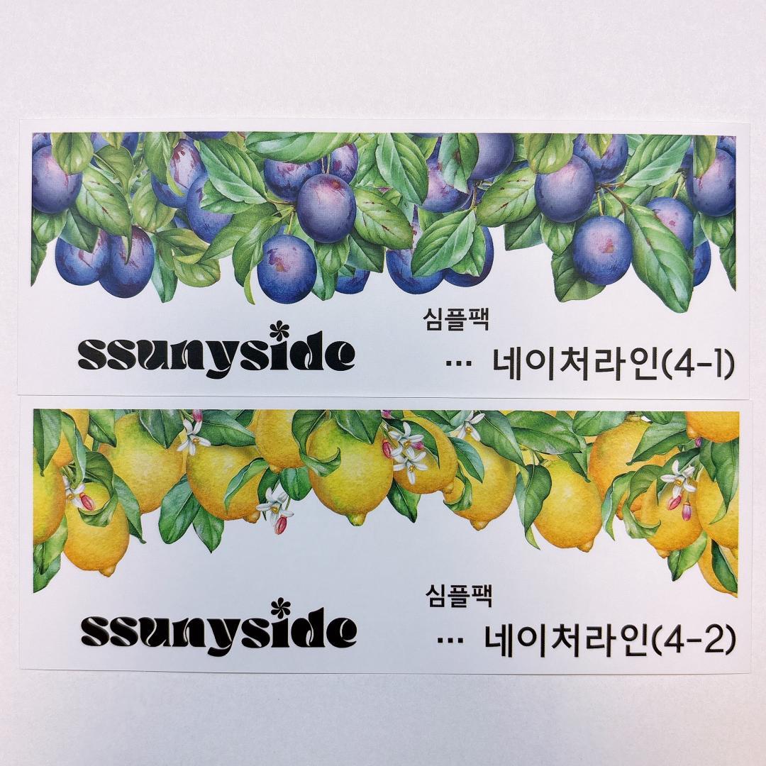 S235.装飾ステッカー　韓国作家　ssunyside(黒いたぬき)　バラ売り〇
