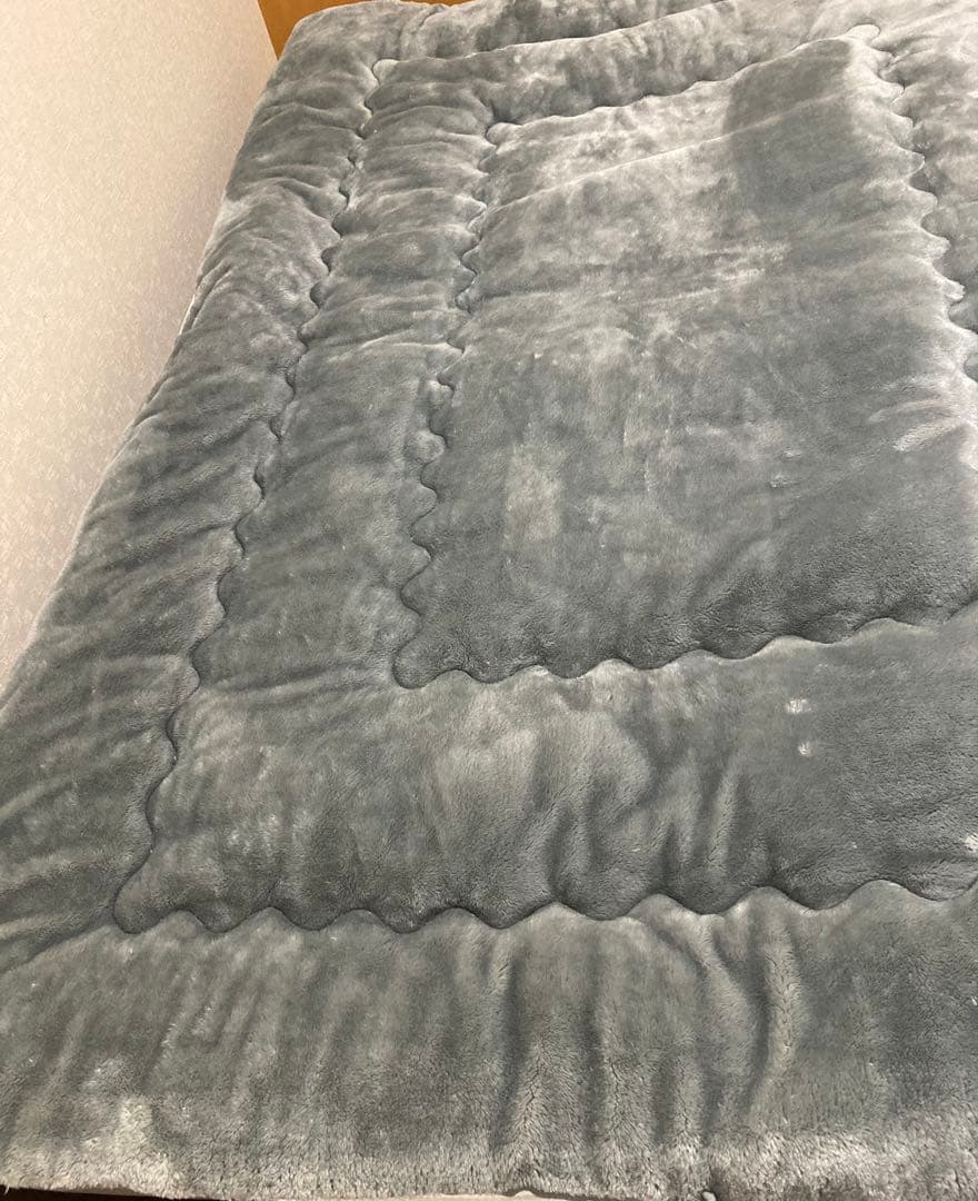 RISE Warm あったか清潔掛け布/毛布SL 150×210㎝ フランネル