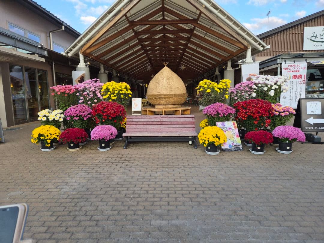 ボディ・フェイスケア U