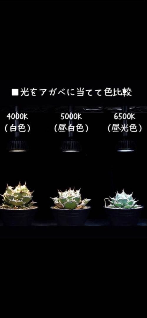 京セラ　いきもの電球　観葉植物育成ライト