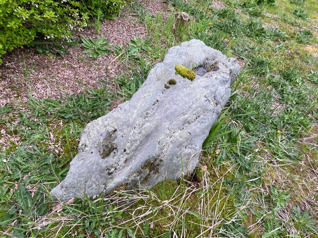 灰色 庭石 大 約140×40×50㎝ 苔付【石川県引き取り限定】まとめ割