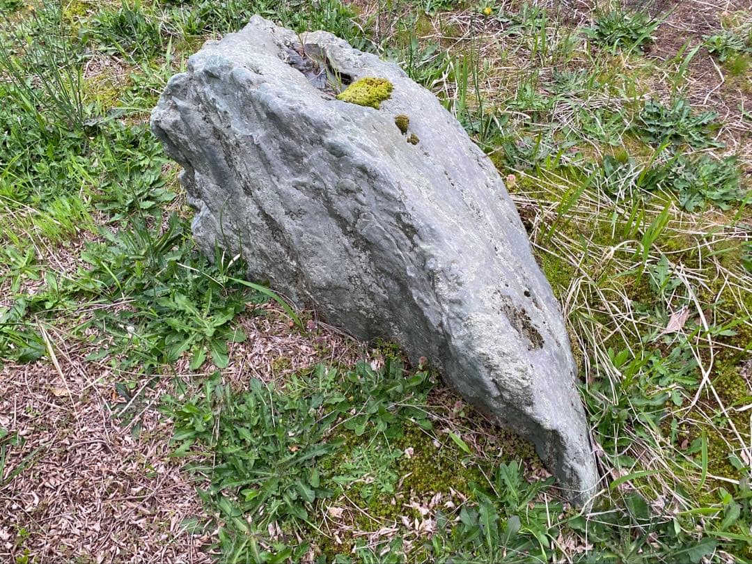 灰色 庭石 大 約140×40×50㎝ 苔付【石川県引き取り限定】まとめ割