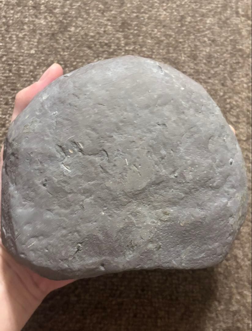 アネトセラス？　アンモナイト　超希少