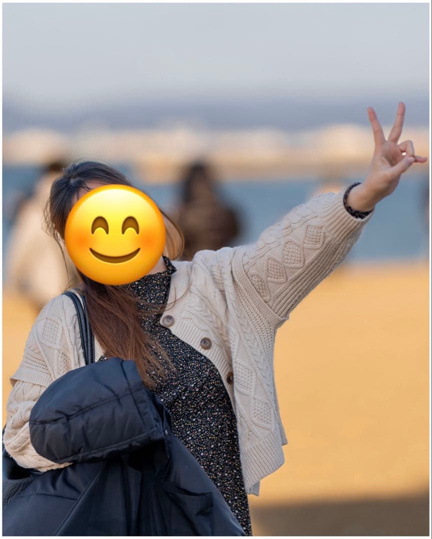 レンズ(単焦点) BOKEH MASTER SIGMA 105mm f1,4 DG HSM