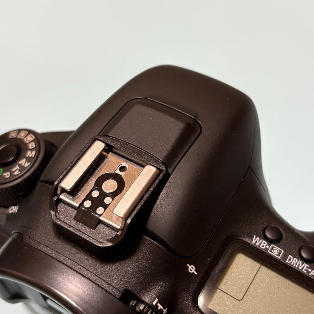 Caon EOS 7D mark II 完品