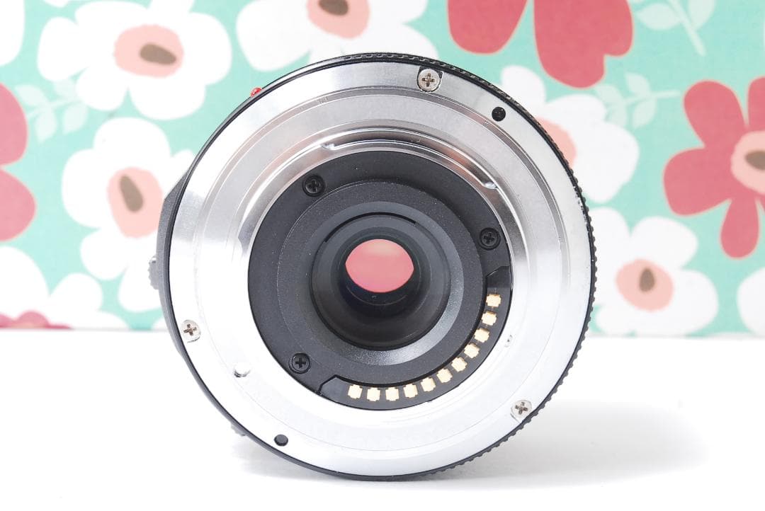 ❤パワーズーム❤LUMIX G X VARIO H-PS14042❤