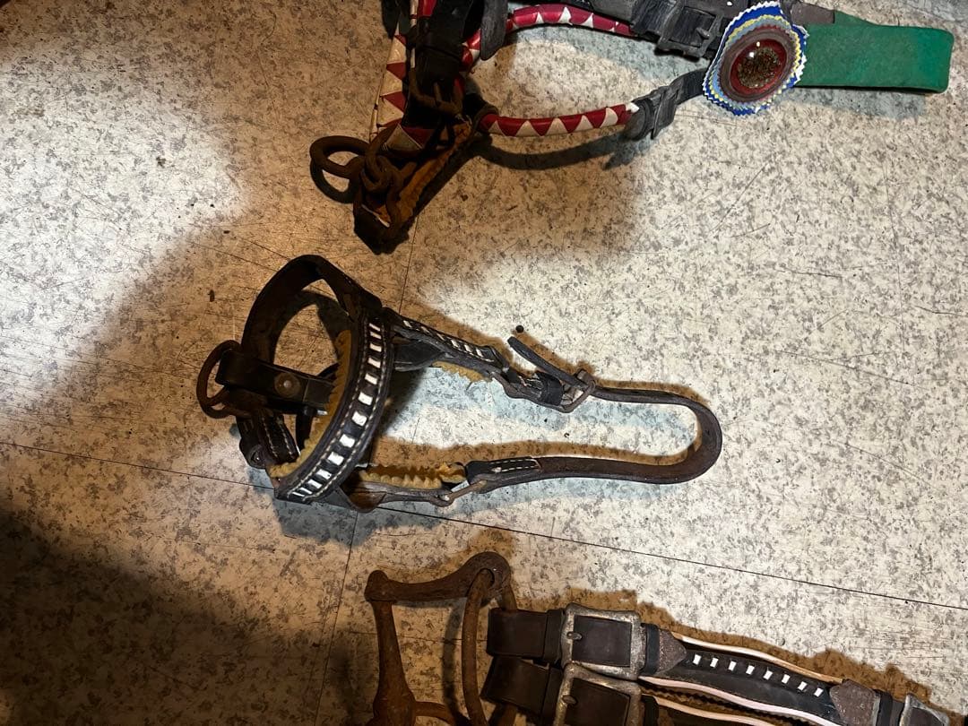 馬具、乗馬、おもがい、くつわ、ハミ、競馬、競争馬