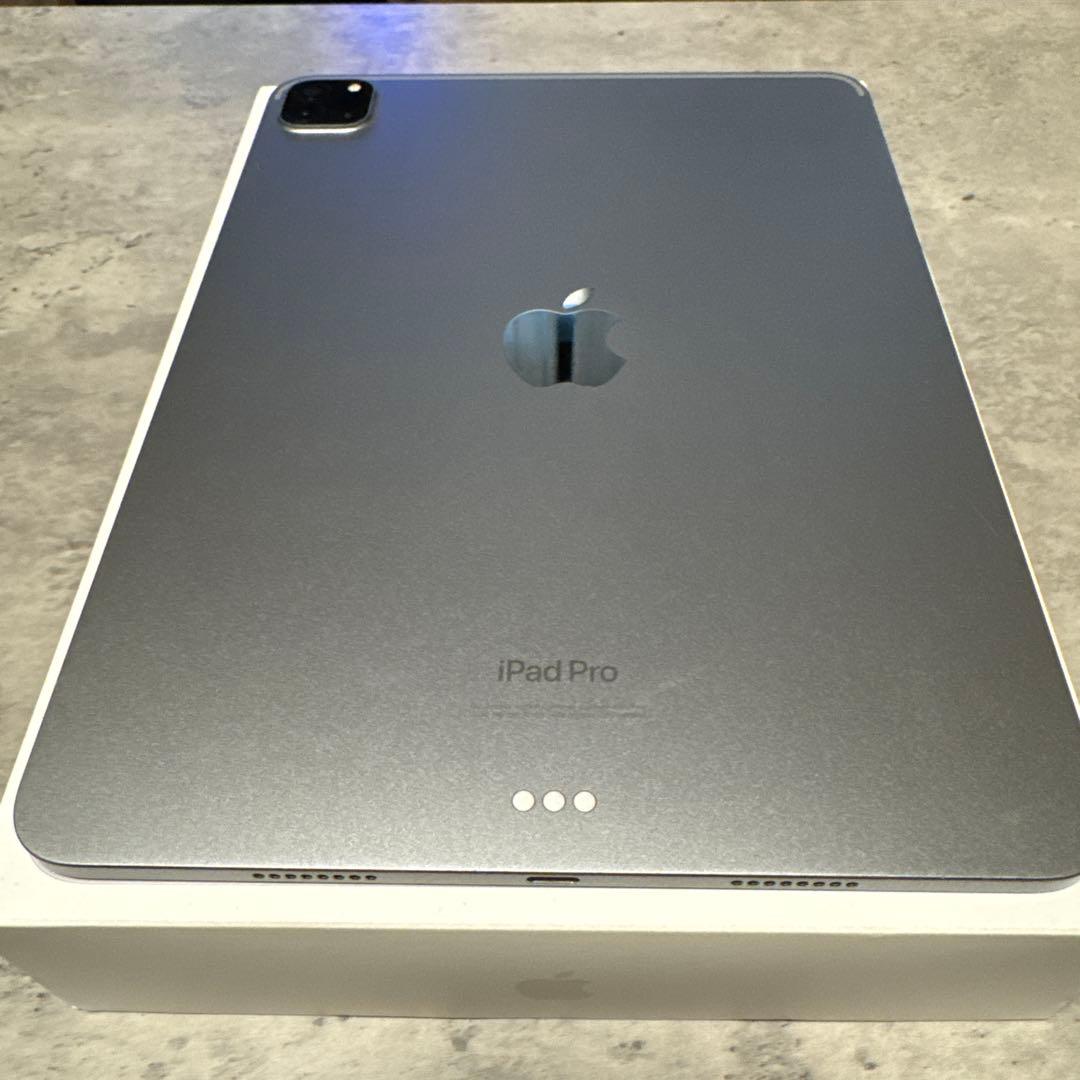 iPad Pro 第4世代 11インチ スペースグレイ 256GB 極美品