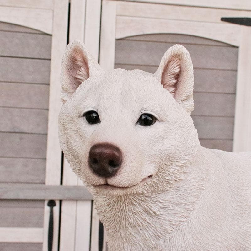白い柴犬 置物 オブジェ かわいい インテリア 375-222