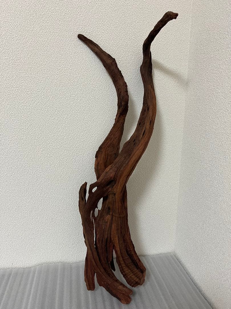 HX-093流木　マシンガンウッド　ホーンウッド アクアリウム　ブランチウッド