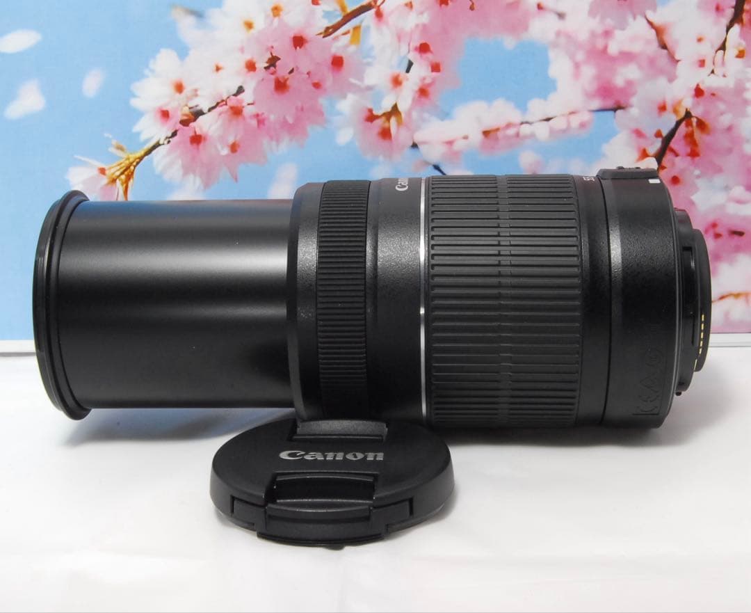 美品⭐️手振補正⭐️Canon EF-S 55-250mm F4-5.6 IS Ⅱ
