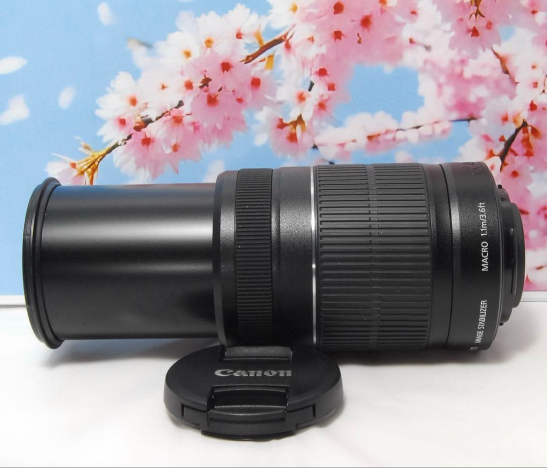 美品⭐️手振補正⭐️Canon EF-S 55-250mm F4-5.6 IS Ⅱ