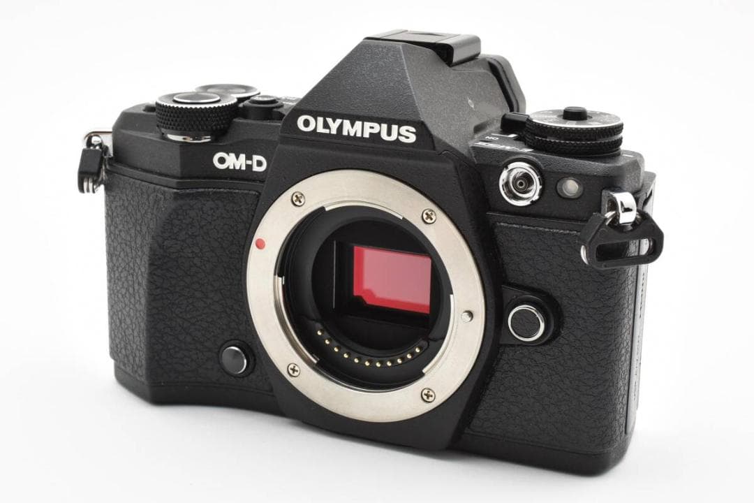 OLYMPUS OM-D E-M5 Mark II ブラック 1410
