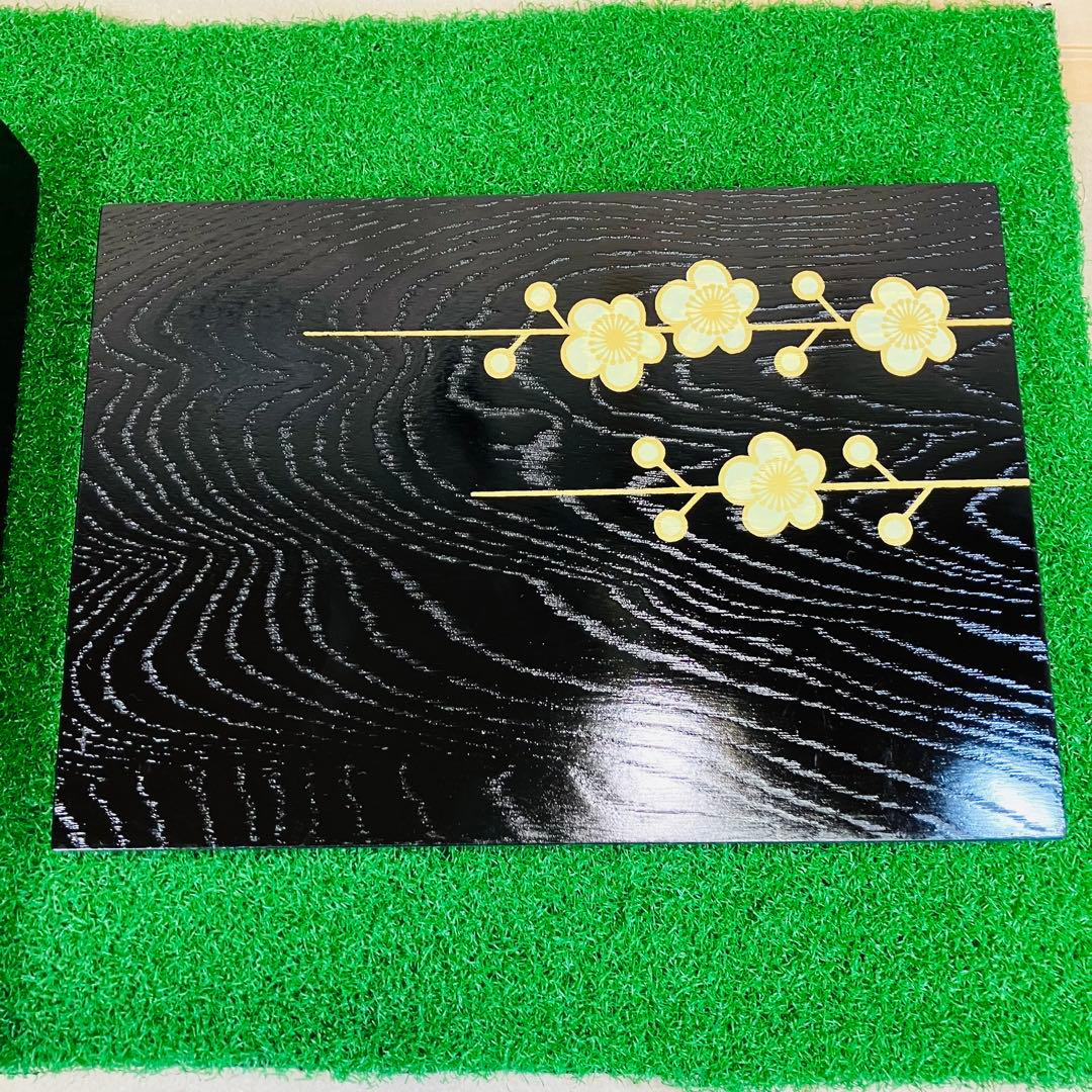 紀州漆器 雅盆 5枚組 ＆ 脇取盆 5枚組 合計10枚入れ子セット 新品