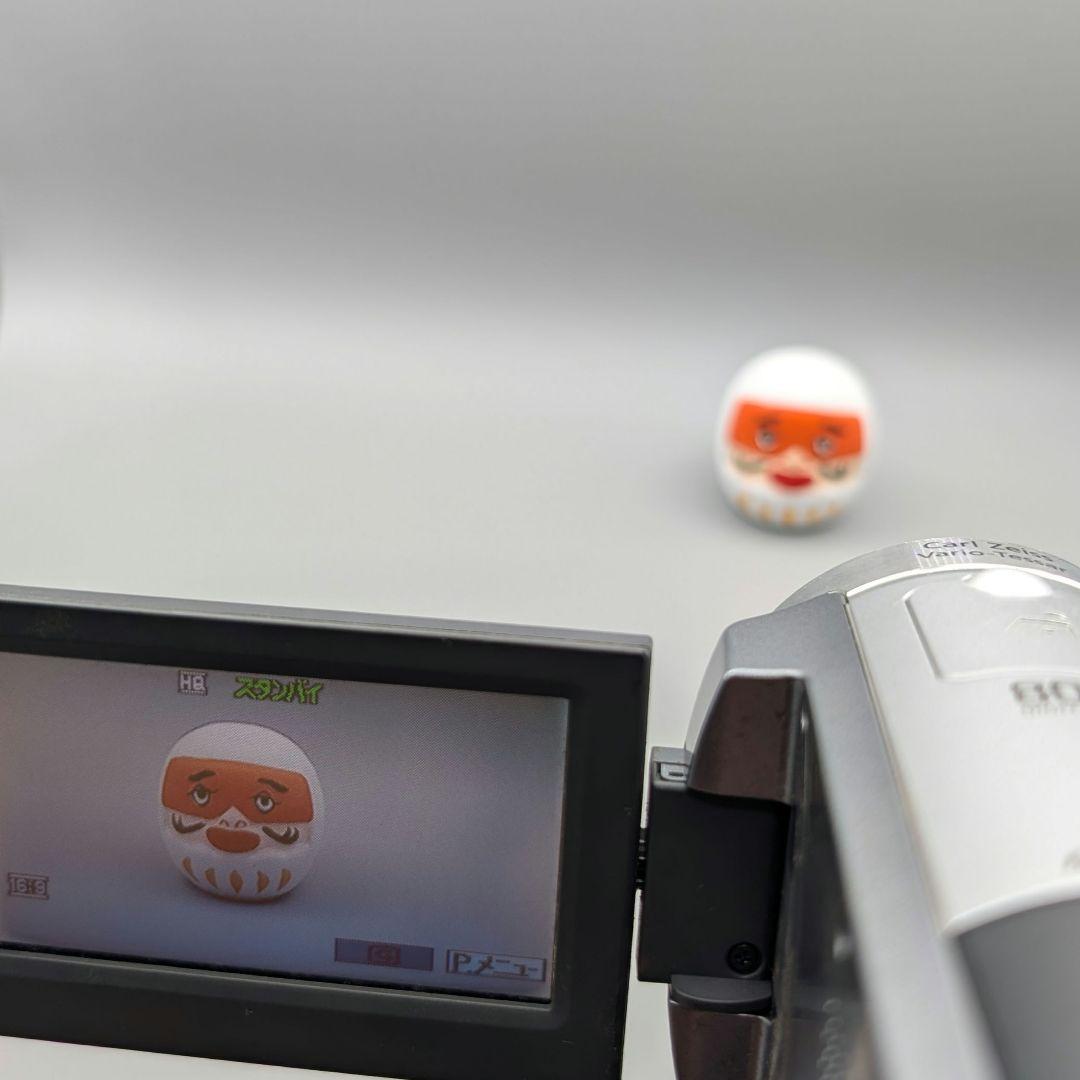 SONY ハンディカム DCR-SR60 30GB Carl Zeiss 動確済