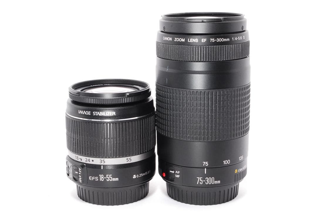 ◆WiFiで転送◆Canon EOS 8000D◆一眼レフカメラ◆すぐ使える◆