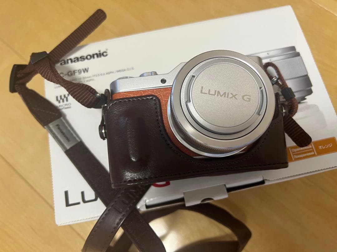 【美品・純正ショルダー付き】Panasonic LUMIX DC-GF9