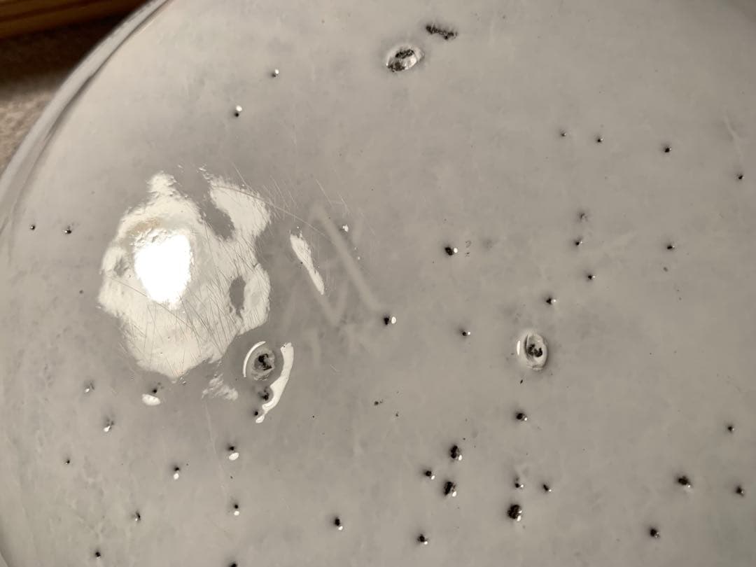 ASTIER de VILLATTE SIMPLEラージスーププレート２枚セット