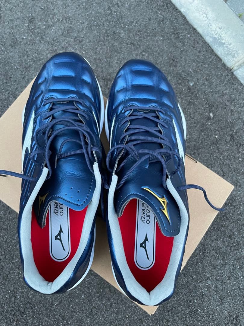 ミズノプロ野球スパイク