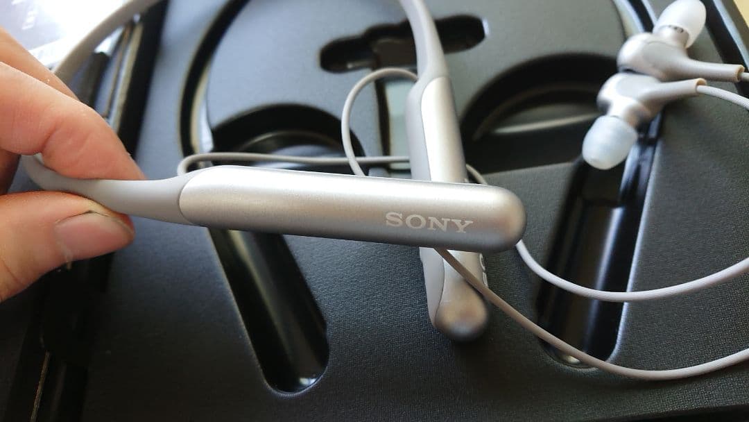 イヤホン Sony Wi-C600N