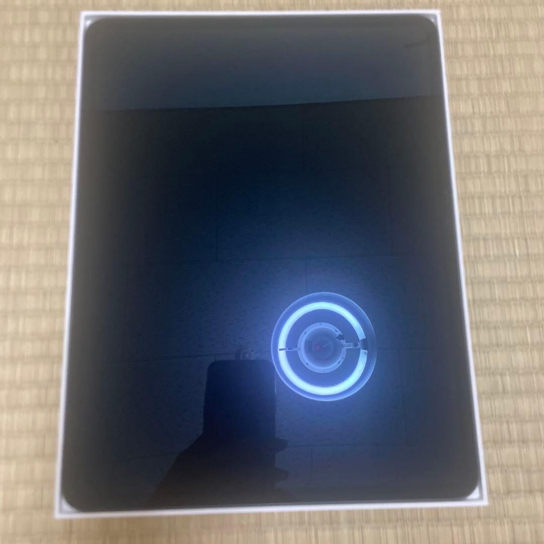 ipad pro 13インチm4 256GB 周辺アクセサリー付き
