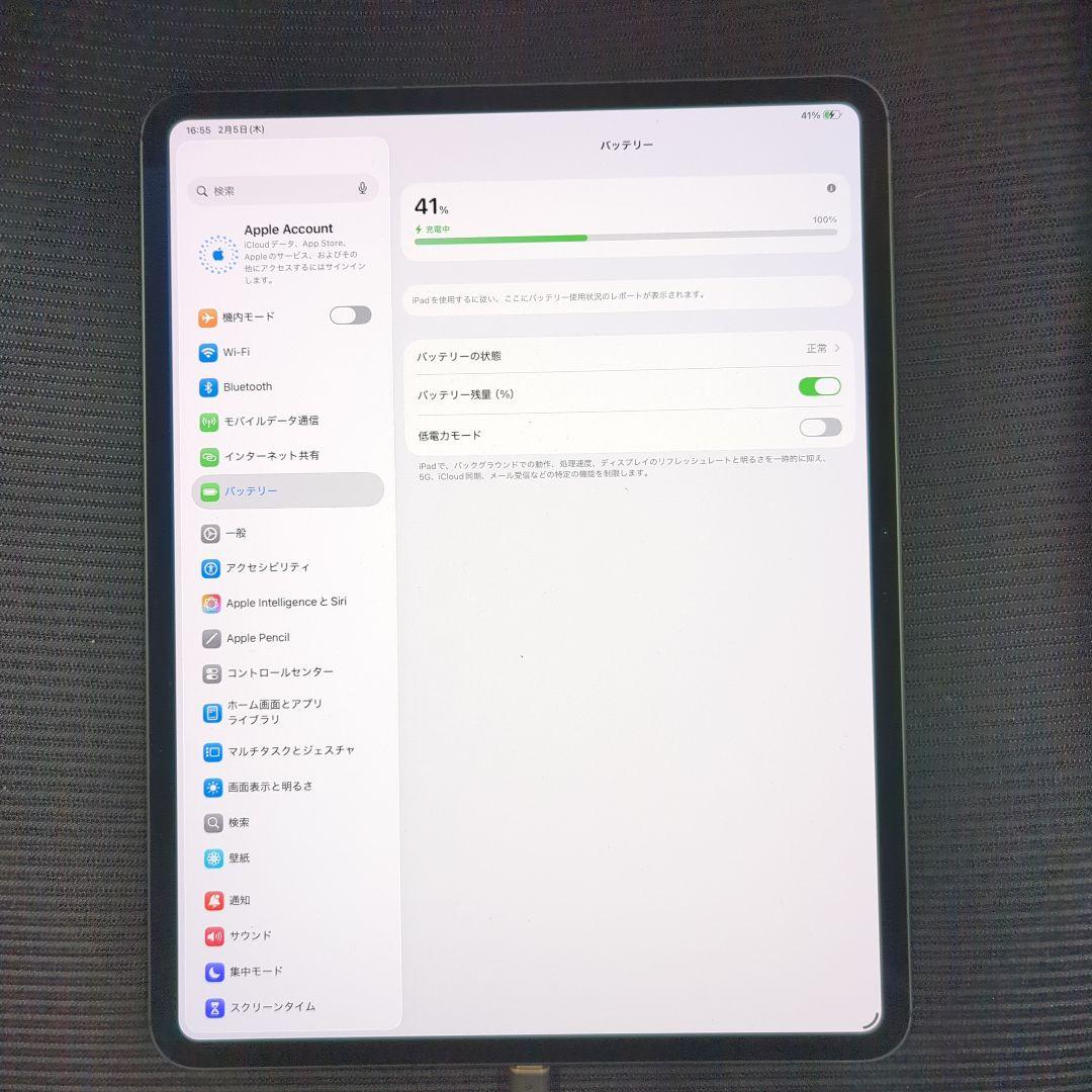 iPad Pro M4 13インチ 2TB　WIFI+セルラー