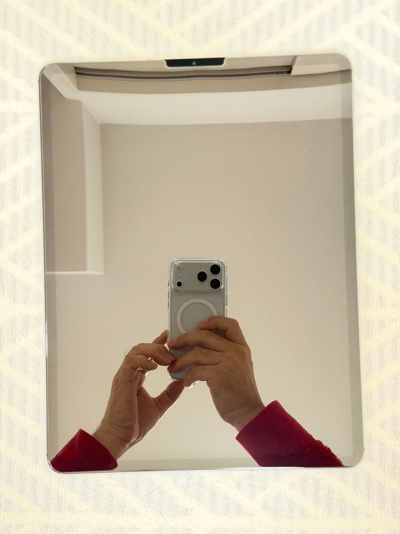 iPad Pro12.9 第4世代　256GB SIMフリー　バッテリー96%