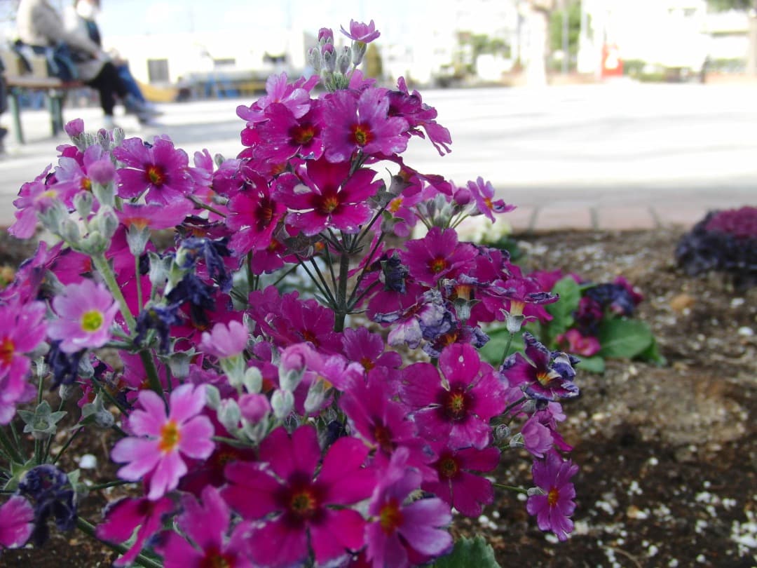 実写美⭕️【動作確認済】CASIO EXILIM EX-FC100 デジカメ