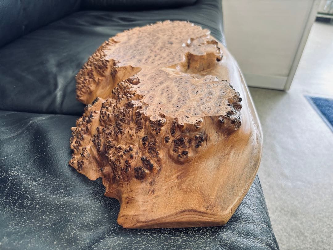 自然木の形状 大きめの木製置物 ５０cm 欅ケヤキ 激安大安売り