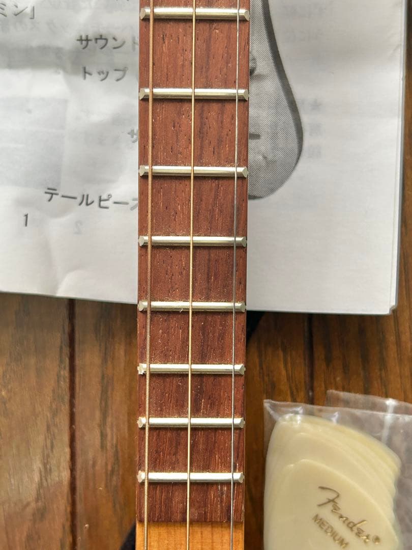 HOSCO みんなの民族楽器 ミンミン MinMin 3弦ギター　おまけ付き